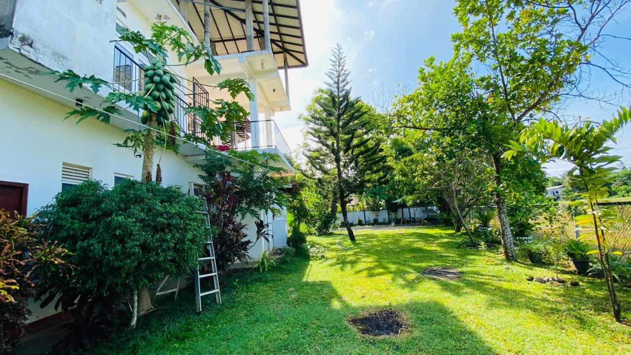 Owin Rose Yala Safari Hotel Tissamaharama Eksteriør billede