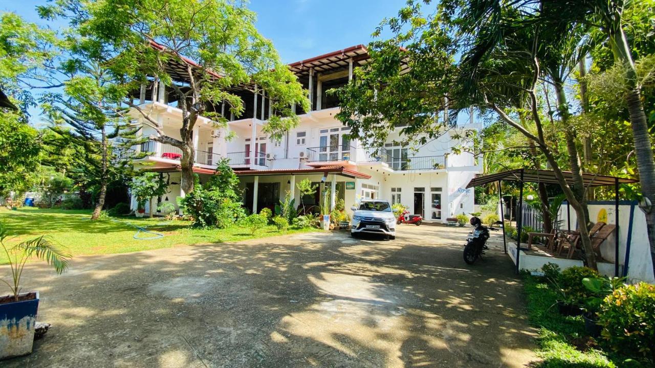 Owin Rose Yala Safari Hotel Tissamaharama Eksteriør billede