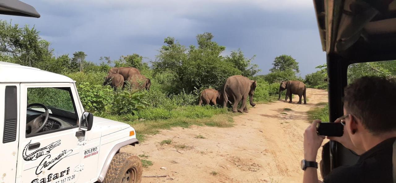 Owin Rose Yala Safari Hotel Tissamaharama Eksteriør billede